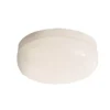 Cocoon Oyster 20cm Clipper Flush Ceiling Light - White