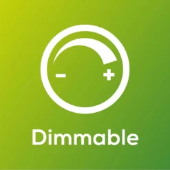 TCP Filament Globe Coat 40W BC Cool Dimmable Light Bulb -Home Lighting Store 12824596 1275022111812163