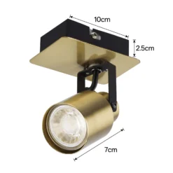 Lucy Single Lamp Spotlight - Gold & Black -Home Lighting Store 12882218 1964843518529632