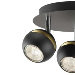 Austin 3 Lamp Spotlight Plate - Black & Gold -Home Lighting Store 12882230 2044843520211471