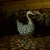 Solar Silhouette Duck - 43x12x27.5cm -Home Lighting Store 12912162 1925042096120703