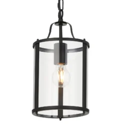 Chester Single Pendant Light - Black -Home Lighting Store 13865027 2034977253412268