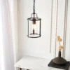 Chester Single Pendant Light - Black -Home Lighting Store 13865027 3574977253283613
